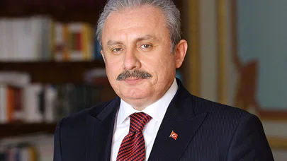 TBMM Başkanı Şentop: Türkiye'nin yeni anayasa yapabileceğine inanıyorum