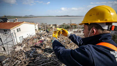 "Leylek Köyü"nde göçten dönecek leylekler için hazırlıklar başladı