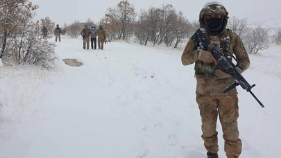 'Eren-2 Lice Operasyonu' başladı