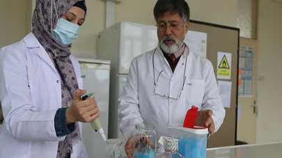 Propolisten koruyuculuk düzeyi yüksek cerrahi maske geliştirildi