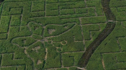 Mısır labirentinden en kolay çıkış çevre sorularını bilmekten geçiyor