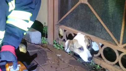 Kafası Demir Parmaklığa Sıkıştı: İtfaiye Yardımına Yetişti