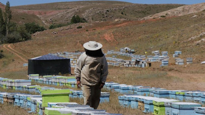 Gezgin arıcı "en iyi bal" için kovanlarıyla il il dolaşıyor