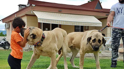 "Anadolu Aslanı" 32 Ülkede Alıcı Buldu