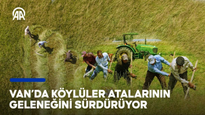 Van'da köylüler ata mirasını sürdürmek için otları tırpanla biçiyor | ❝Bunları hiç unutmadık❞