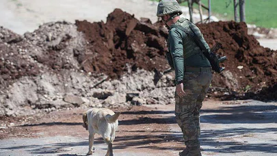 'Leylak' Patlayıcıları Buldu 'METİ' İmha Etti
