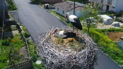 'Leylekli Köy'ün Müdavimleri Yuvalarına Döndü