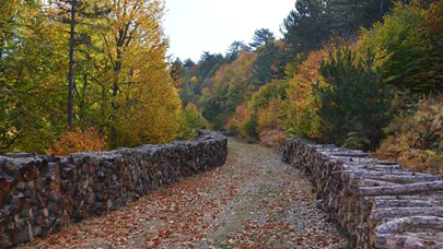 Bolu Sülüklü Göl'de sonbaharın renkleri drone ile görüntülendi