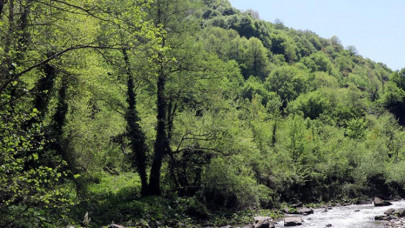 Kocaeli ormanları ve tabiat parklarıyla bölgesine "nefes" oluyor