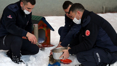 Ceza infaz kurumu personeli ve hükümlülerden 'can dostlar'a şefkat eli