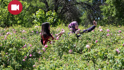 Gül-i Gülşen Turizmi Giderek Artıyor