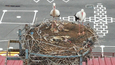 Sivas'taki "leylekli okulun" misafirleri geldi