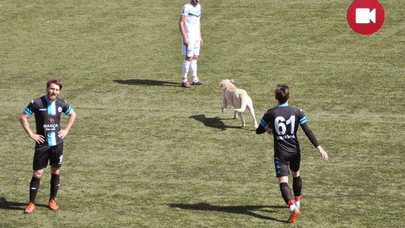 Sahada Davetsiz Misafir