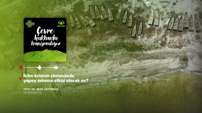 İklim krizinin çözümünde yapay zekanın etkisi olacak mı?