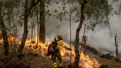 İklim değişikliği Türkiye'nin kuzey bölgelerinde orman yangını riskini artırıyor