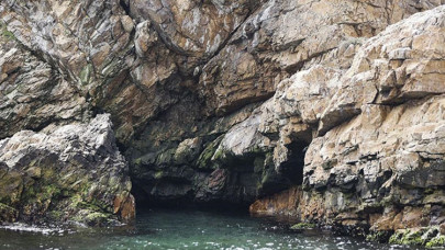 Adalar'da Akdeniz foku mağarası tespit edildi