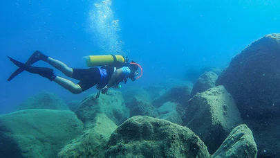 Doğu Akdeniz'deki fay kırığı deniz canlılarına yuva oldu