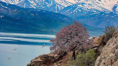 Van Gölü'nün dört adası etkinliklerle tanıtılıyor