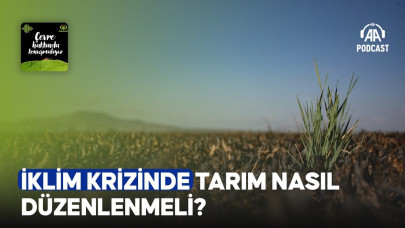 İklim krizinde tarım nasıl düzenlenmeli?