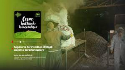 Sigara ve türevlerinin ekolojik sisteme zararları neler?