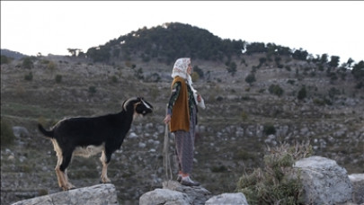 Antik kentin 45 yıllık çobanı Yörük Fatma, tarihle iç içe yaşıyor