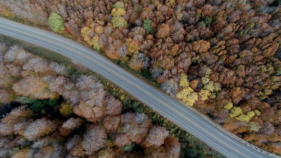 Istranca ormanlarında muhteşem sonbahar manzaraları