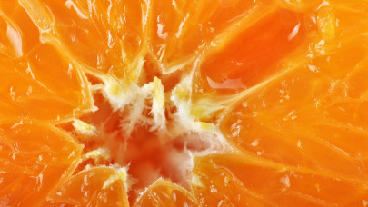 Resmen şifa deposu! Diyabeti önlüyor, böbrekleri temizliyor