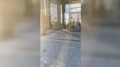 Ankara'nın göbeğine kadar indi! Görenler şaşkınlıkla telefonuna sarıldı