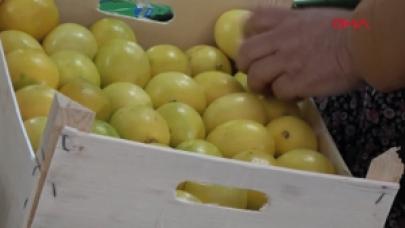 C vitamini limona talep arttı