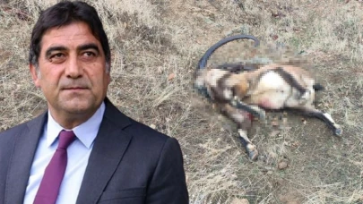 Koruma Altındaki Yaban Keçisi Avlandı! İYİ Partili Ünal Kahraman ve Ekibine Ceza Yağdı