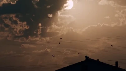 Güvercin Hırsızları Filminin Konusu Ne, Sonu Nasıl Bitiyor? Oyuncu Kadrosu, Nerede Ne Zaman Çekildi?