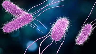 Salmonella Nedir, Nasıl Bulaşır, Belirtileri Nelerdir, Ölümcül Mü?