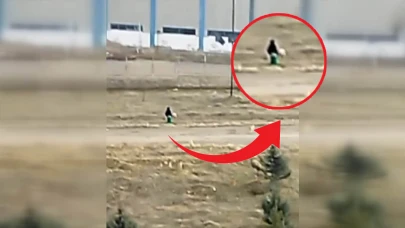 Sokak köpeği dehşeti bitmiyor! Küçük çocuk canını zor kurtardı