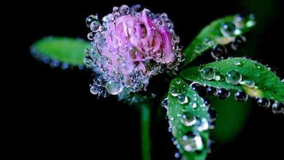 2025 Cemre Düşme Tarihleri Ne Zaman? Suya, Toprağa ve Havaya İlk Cemre Ne Zaman Düşecek?