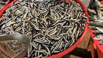 Hava şartları balık fiyatlarını vurdu! İşte güncel hamsi, istavrit, çipura fiyatları