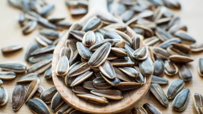 Çekirdek Yemek Şişmanlatır mı? 1 Kase Çekirdek Kilo Aldırır mı?