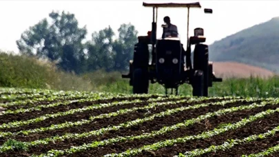 Tarım ÜFE’de şaşırtan yükseliş! Meyvelerde rekor artış