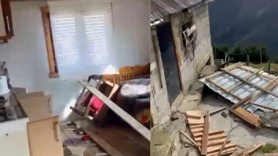 Rize’de ayı istilası: 20 ev zarar gördü!