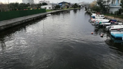 Vatandaşlar şaşkın! Nesli tükenmekte olan o canlıyı görenler inanamadı