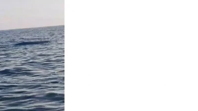 Artvin açıklarında şüpheli cisim paniği: Balıkçılar insansız deniz aracı sandı!