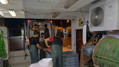 Akçakoca’da hamsi çılgınlığı: 198 ton çıktı, yasal olmayan avlanmaya cezalar yağdı!