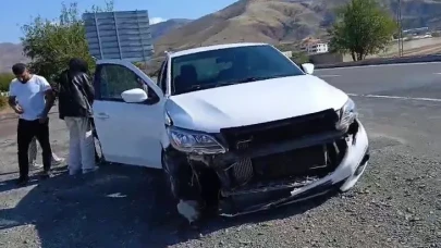 Elazığ’da talihsiz kaza: Otomobil köpeğe çarptı, 1 kişi yaralandı