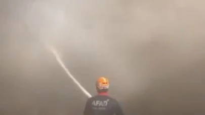 Ahır yangınında 15 küçük ve 8 büyükbaş hayvan telef oldu