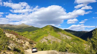 Her tonuyla büyülüyor: Gümüşhane sonbaharda görsel şölene dönüştü!