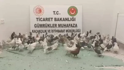 Ticaret Bakanlığı ekiplerinden canlılara nefes aldıran operasyon!