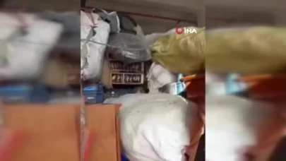 Özgürlüğe kanat çırptılar! Kuş kaçakçılarına rekor ceza...