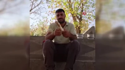 Mezarlıklardan çıkan büyüler hayrete düşürüyor