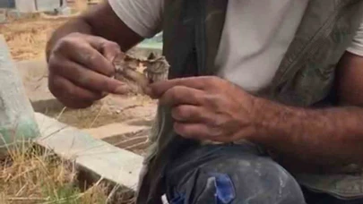 Mezarlıktan kefenlenmiş oyuncak bebek çıktı
