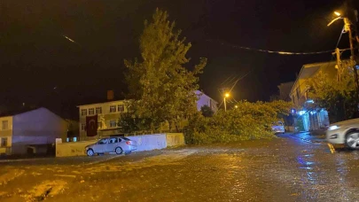 Rüzgarın kökünden söktüğü ağaç otomobilin üzerine devrildi