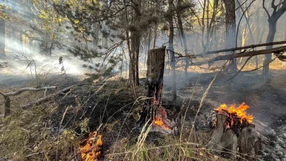 Sarıkamış’ta korkutan orman yangını: Alevler 2 Hektarlık alanı kül etti